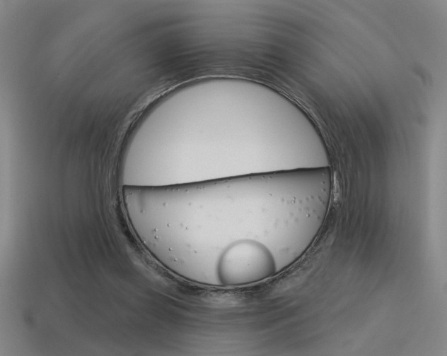 X0000115650349200911101121