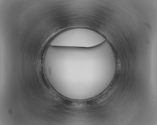 X0000115650351200911101121