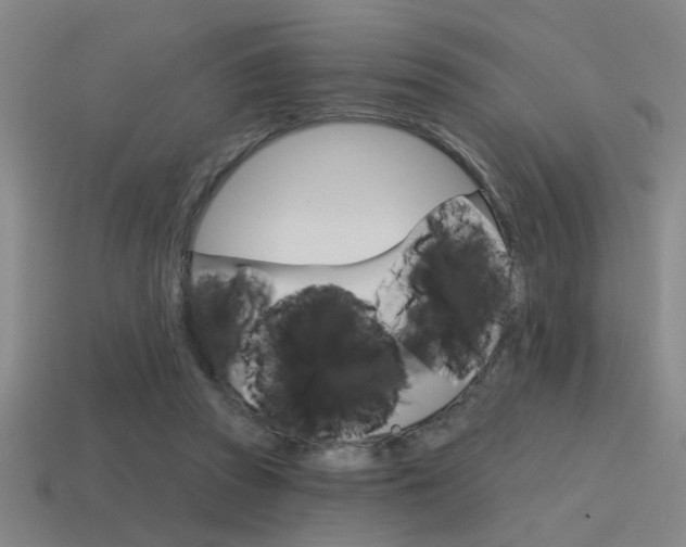 X0000115650353200911101121