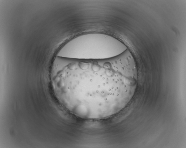 X0000115650354200911101121