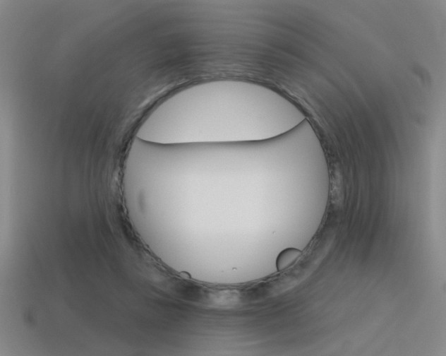 X0000115650355200911101121