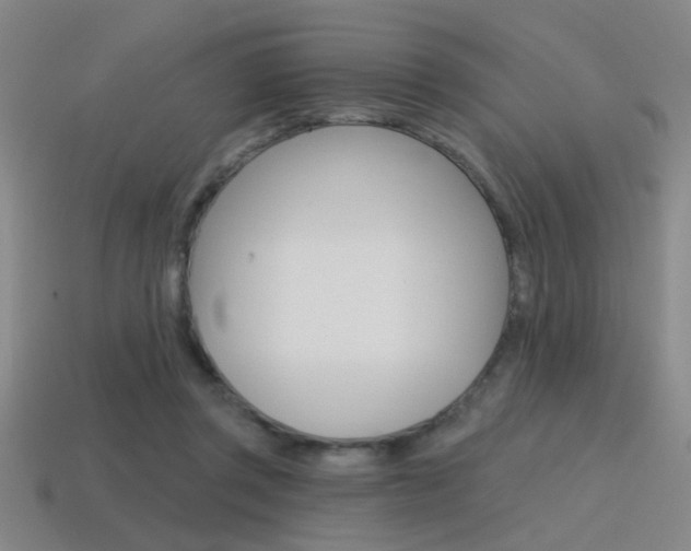 X0000115650357200911101121