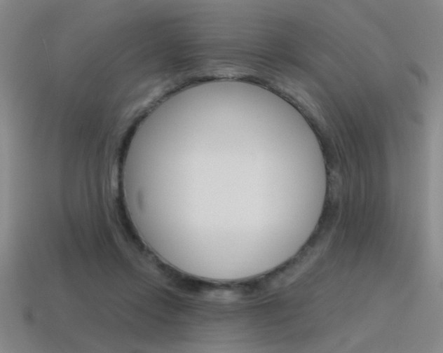X0000115650358200911101121