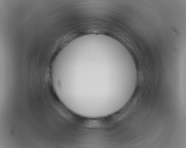 X0000115650361200911101121