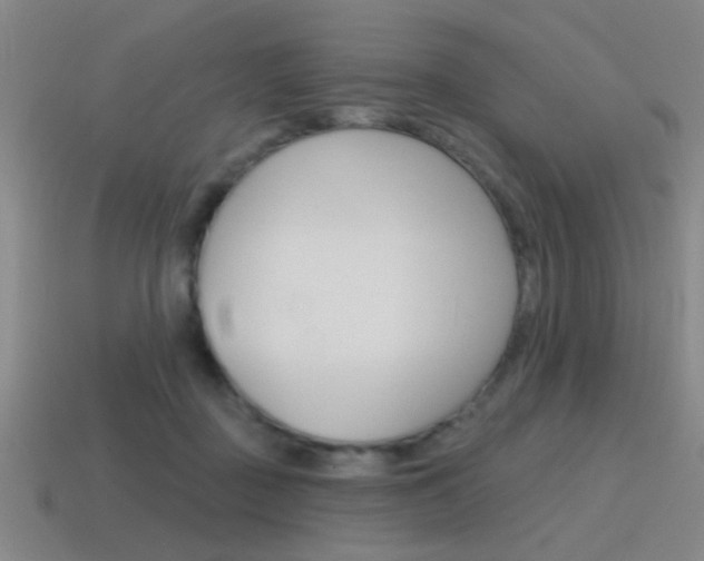 X0000115650363200911101121
