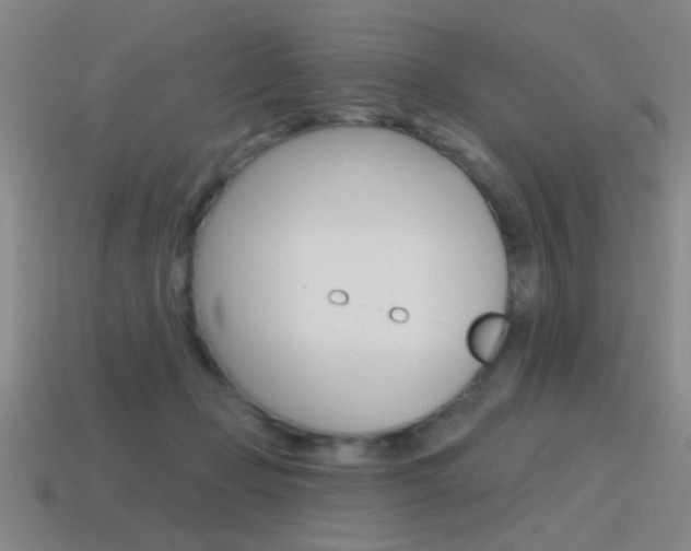 X0000115650365200911101121