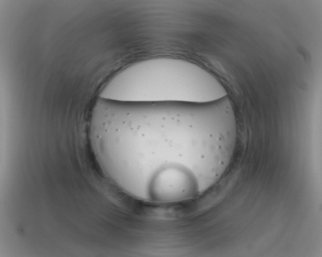 X0000115650366200911101121