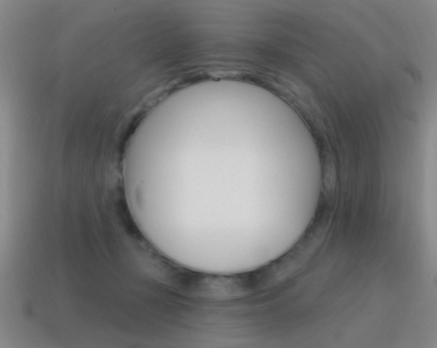 X0000115650367200911101121