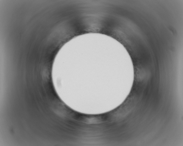 X0000115650370200911101121