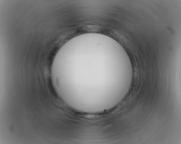X0000115650371200911101121