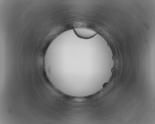X0000115650375200911101121