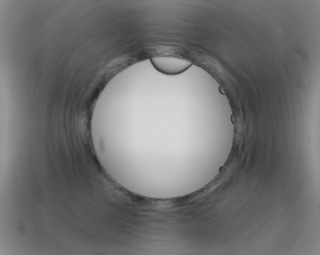 X0000115650377200911101121