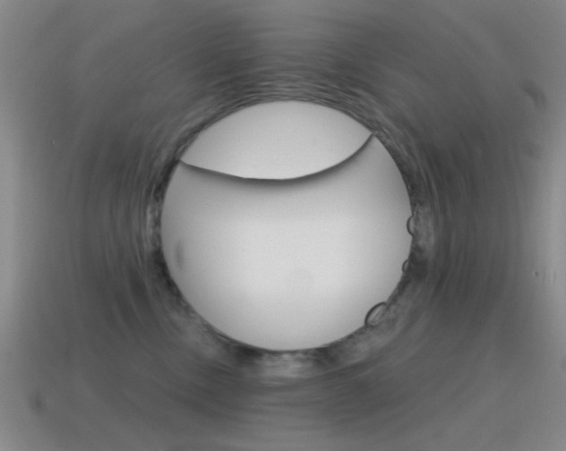 X0000115650378200911101121