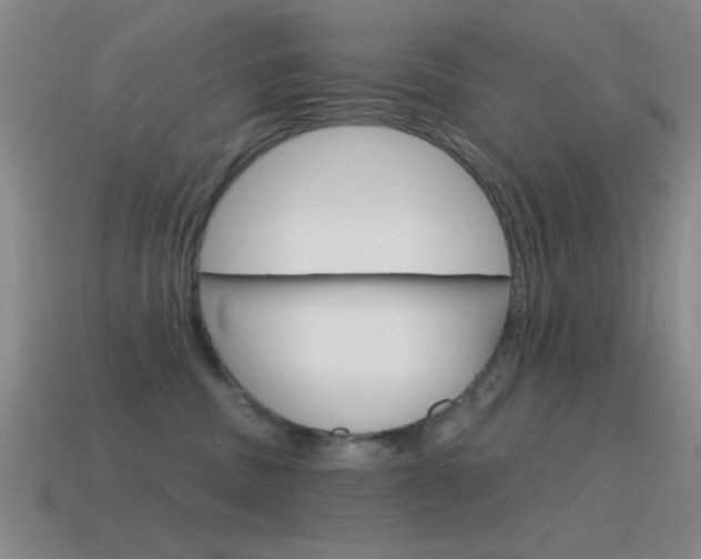 X0000115650379200911101121