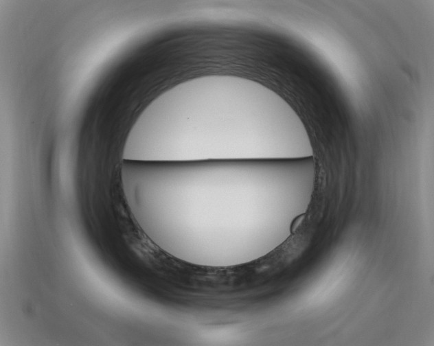X0000115650383200911101121