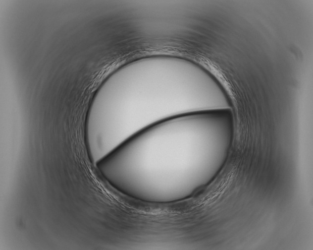 X0000115650385200911101121