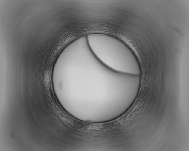 X0000115650386200911101121