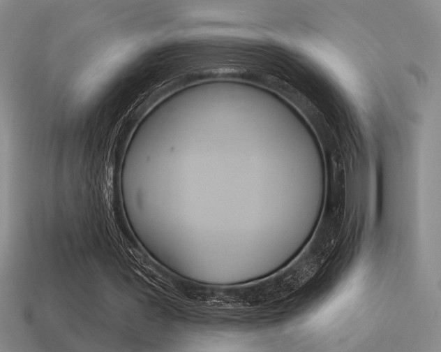 X0000115650387200911101121