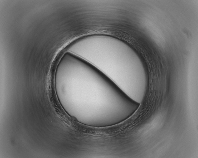 X0000115650388200911101121