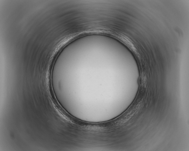 X0000115650389200911101121
