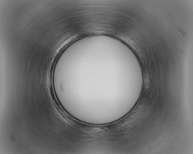 X0000115650390200911101121