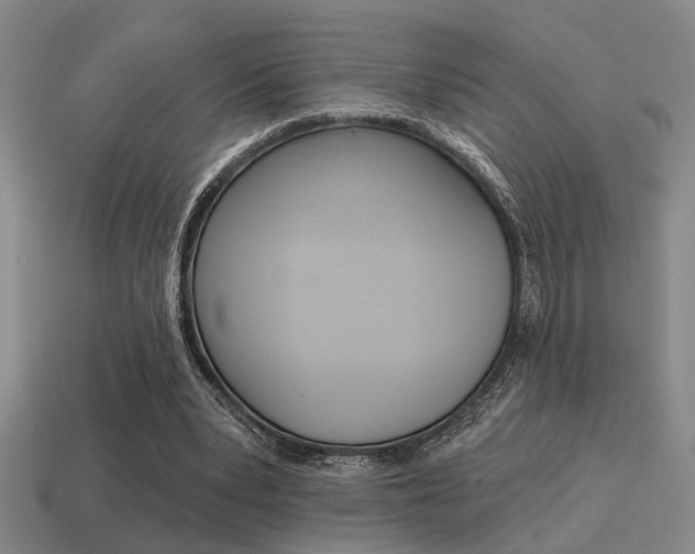 X0000115650391200911101121