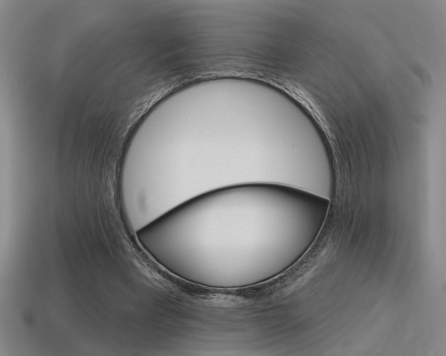 X0000115650393200911101121