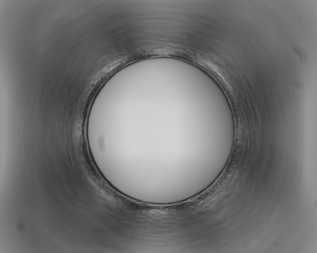 X0000115650394200911101120
