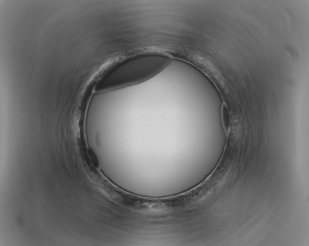 X0000115650395200911101120