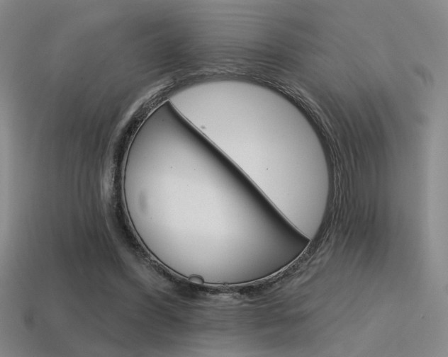 X0000115650396200911101120