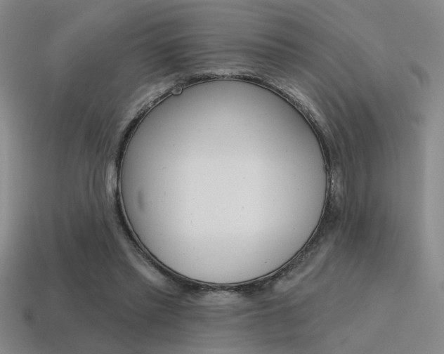 X0000115650397200911101120
