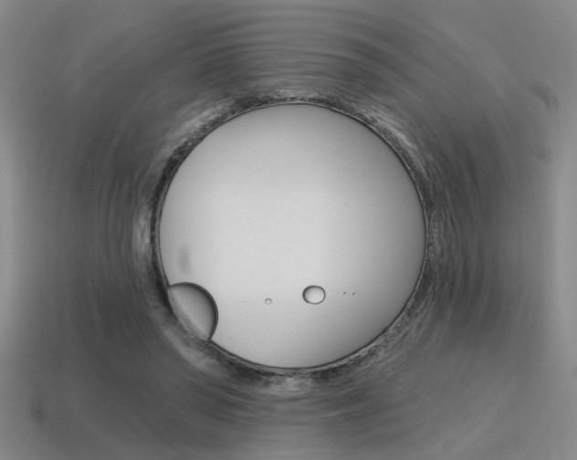 X0000115650398200911101120