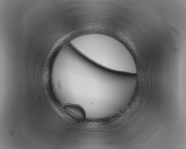 X0000115650400200911101120