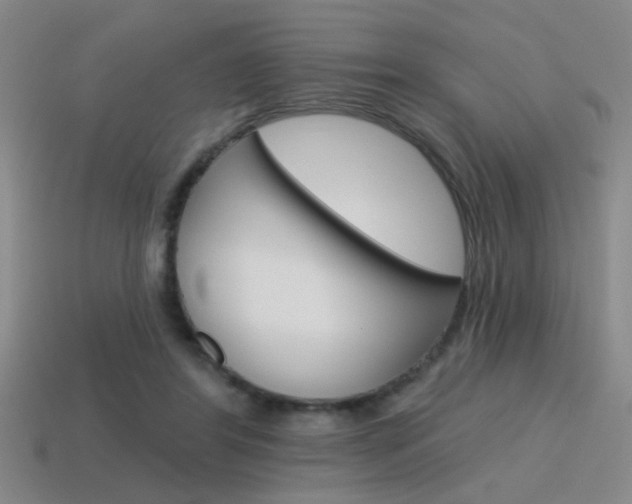 X0000115650404200911101120
