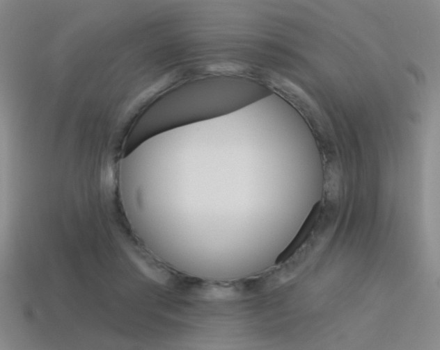X0000115650405200911101120