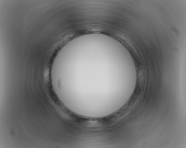 X0000115650406200911101120