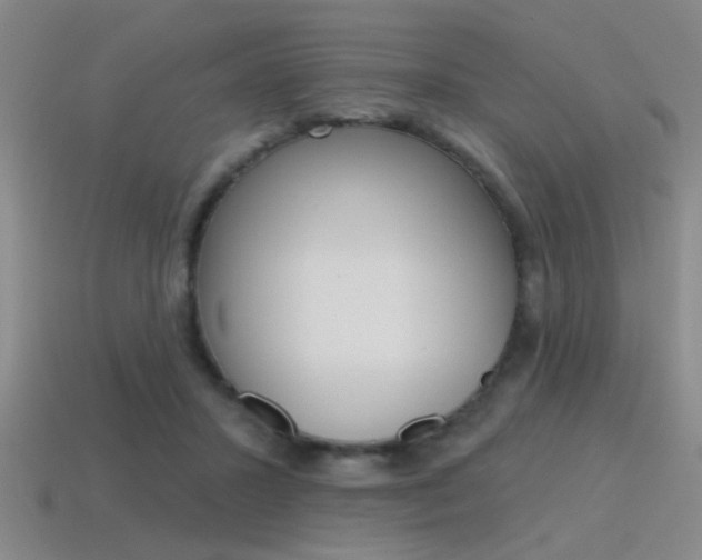 X0000115650407200911101120