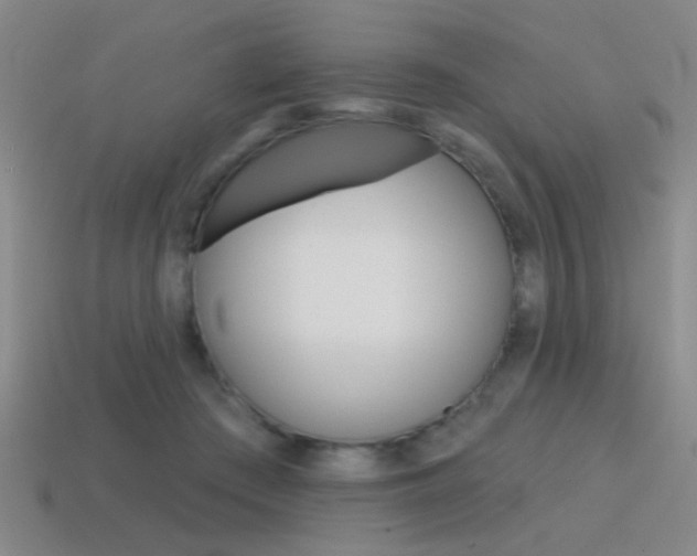 X0000115650409200911101120