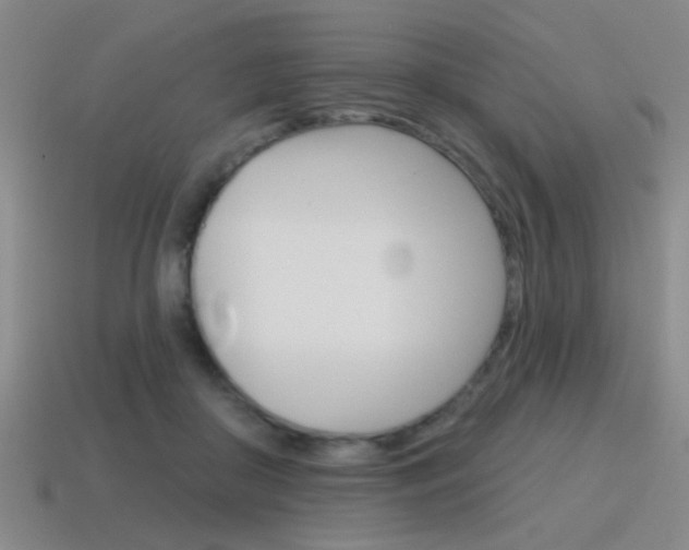 X0000115650410200911101120
