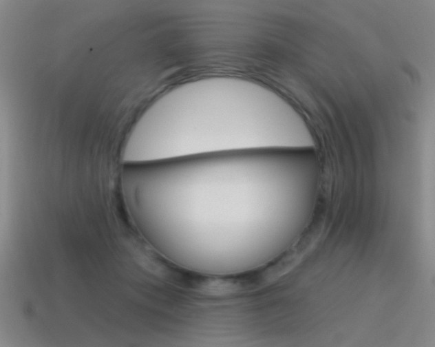 X0000115650413200911101120
