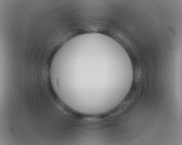 X0000115650414200911101120