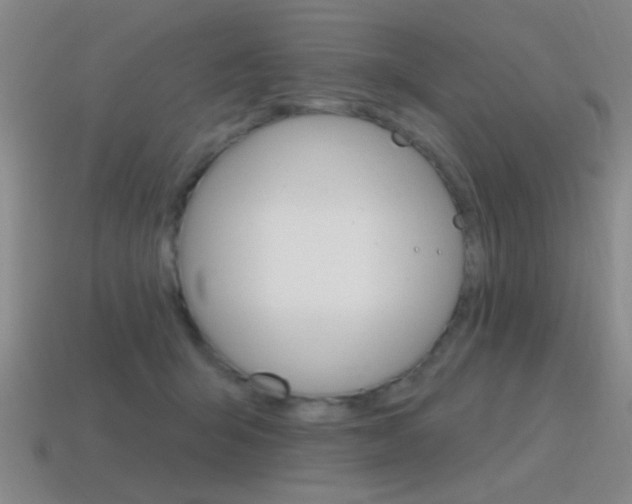 X0000115650415200911101120