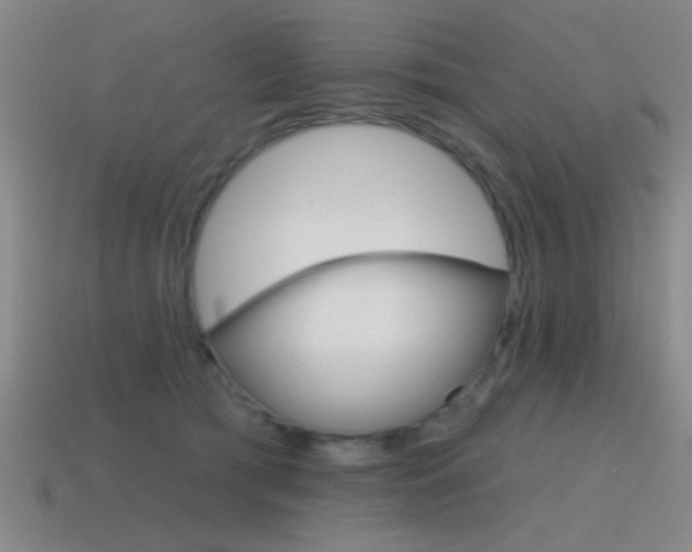 X0000115650417200911101120