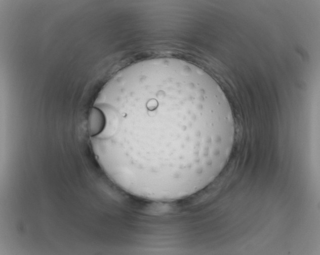 X0000115650418200911101120