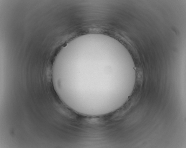 X0000115650419200911101120