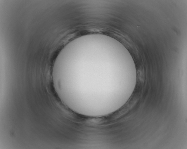 X0000115650422200911101120