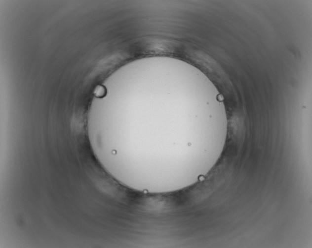 X0000115650423200911101120