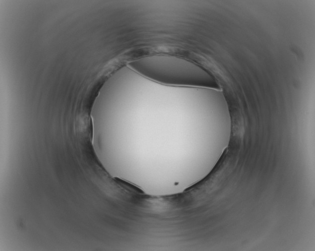 X0000115650425200911101120