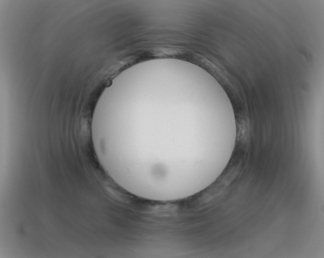 X0000115650426200911101120