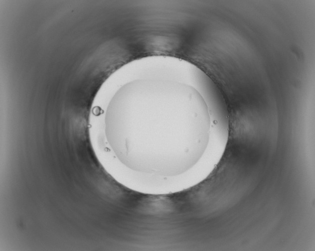 X0000115650427200911101120